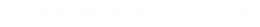 Corporate Structure
